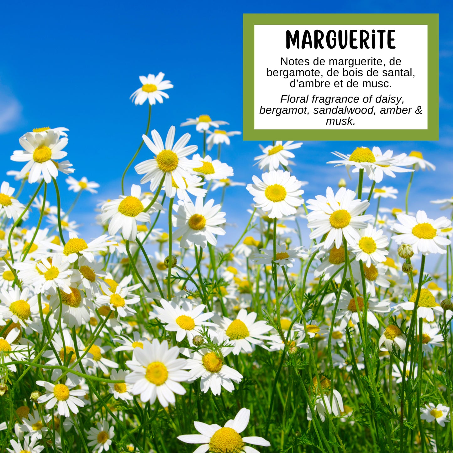 Savon MARGUERITE