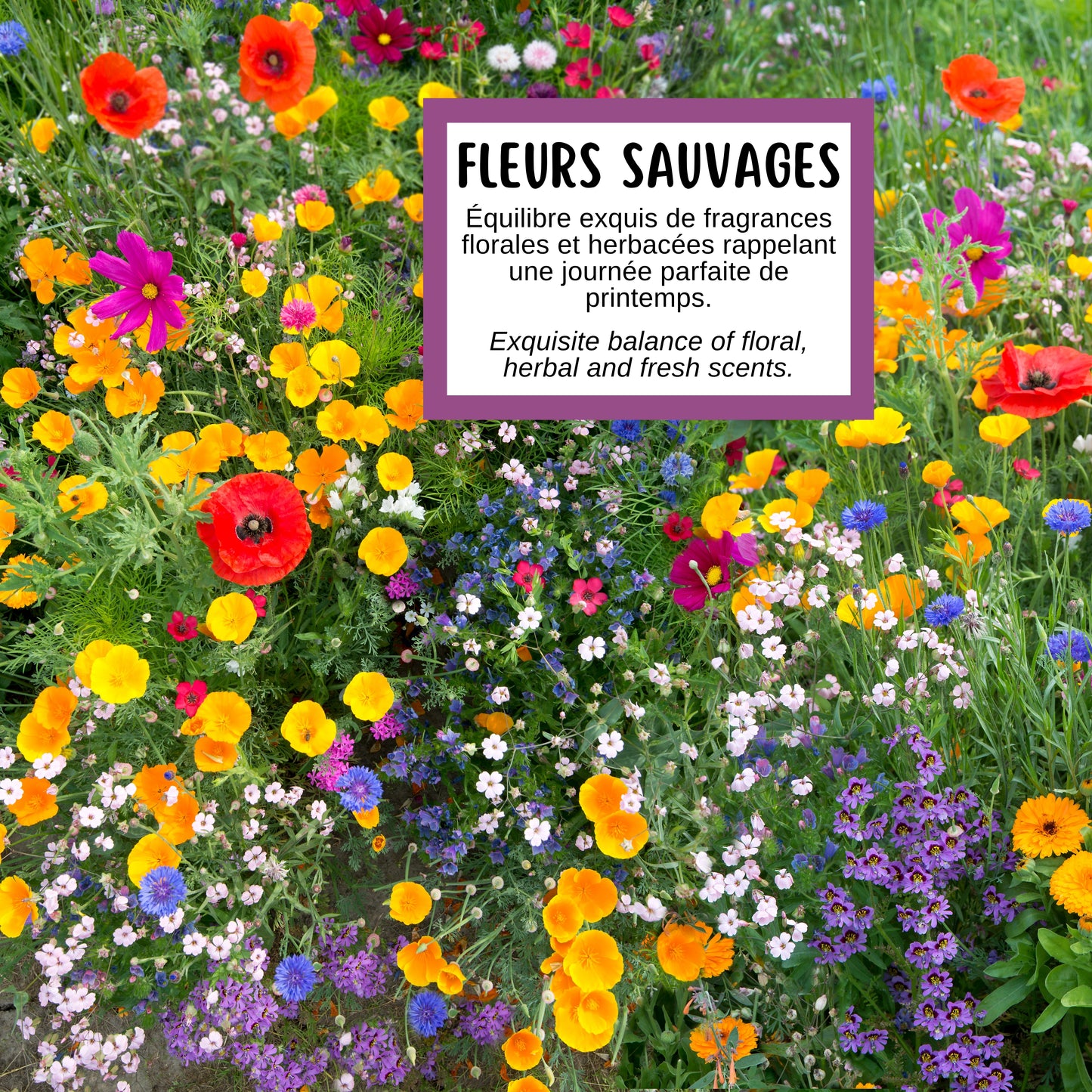 Savon FLEURS SAUVAGES