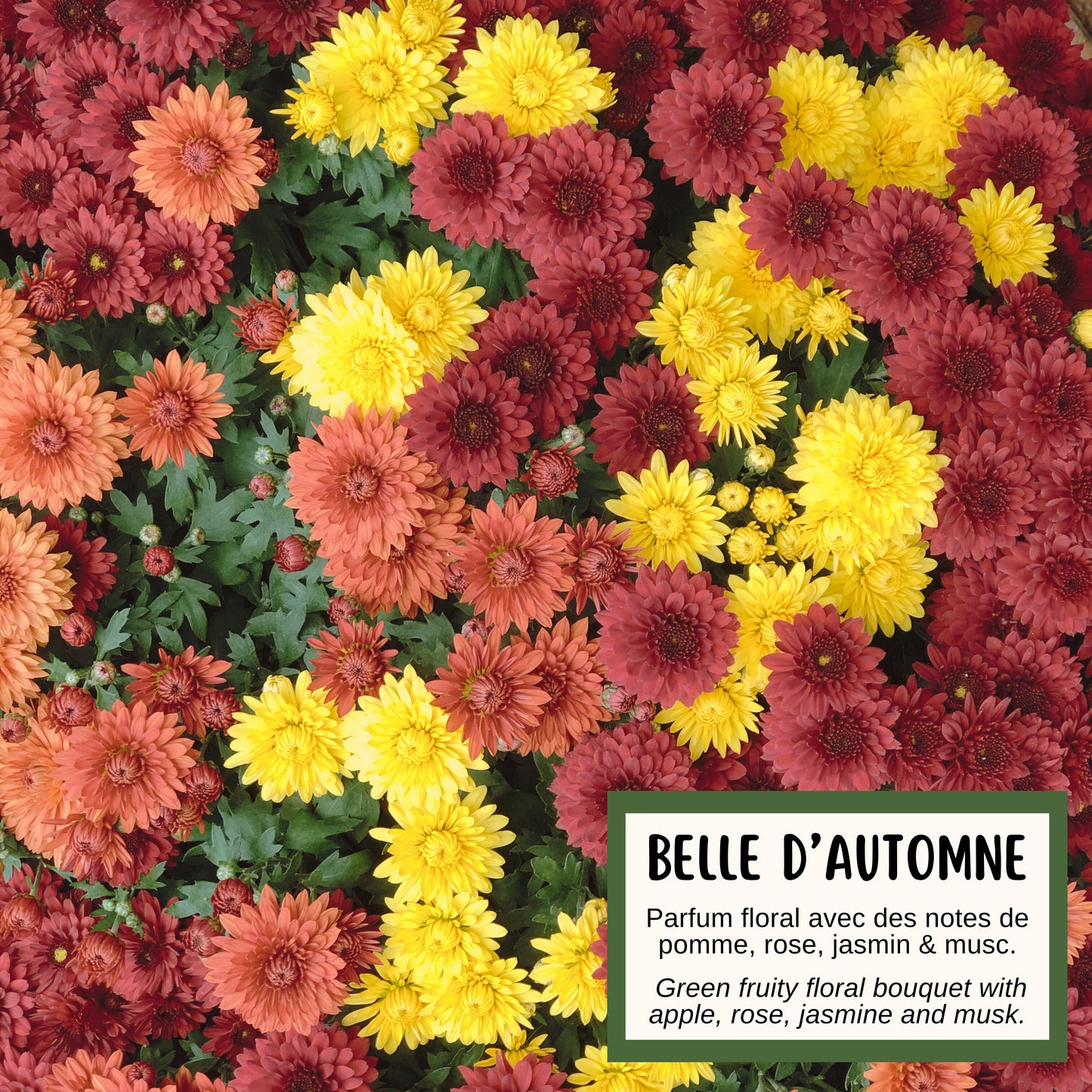 Savon BELLE D'AUTOMNE