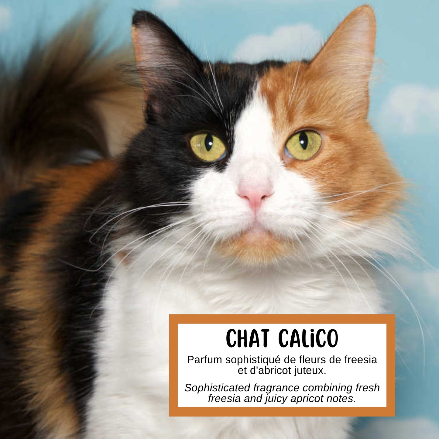 Savon Calico