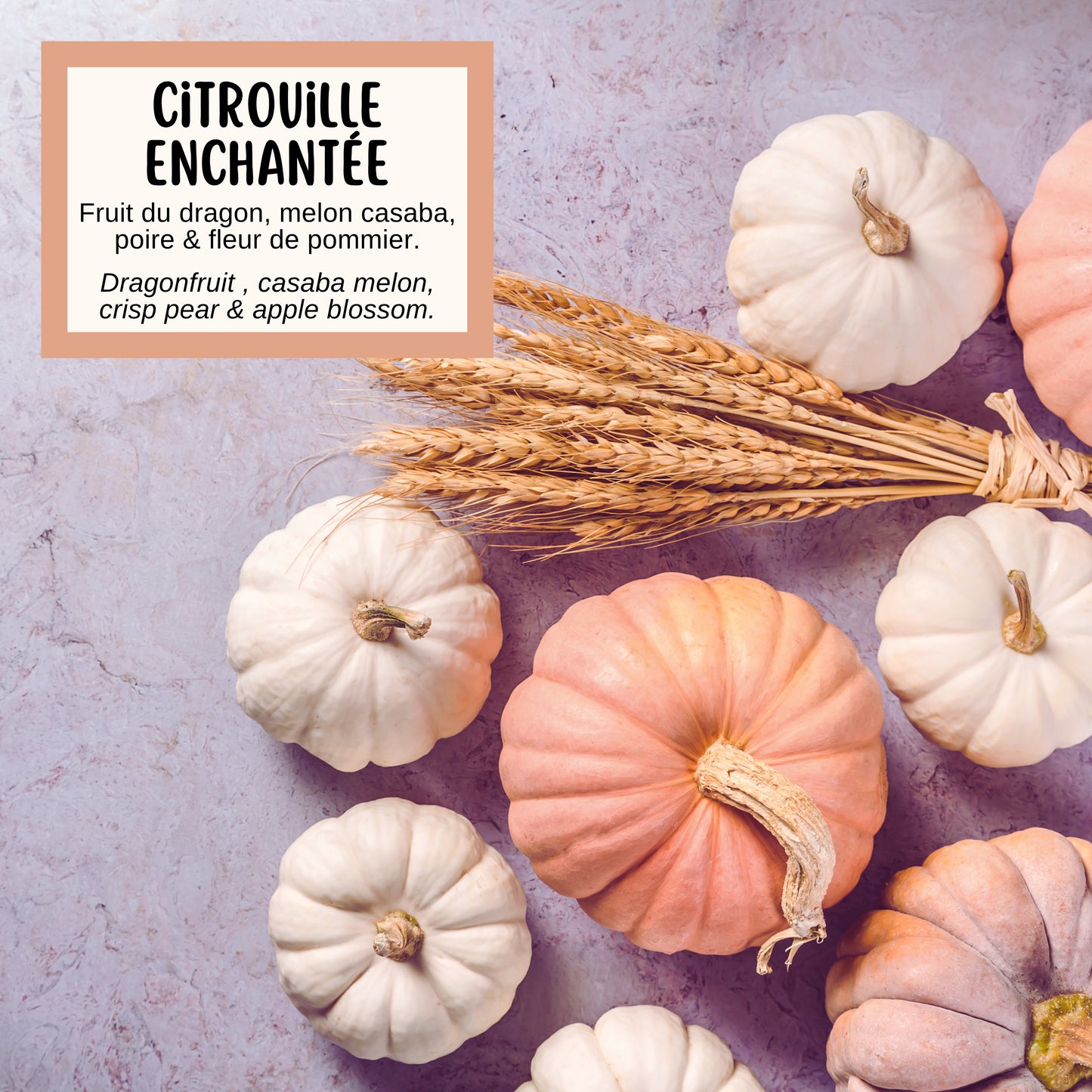 Savon CITROUILLE ENCHANTÉE