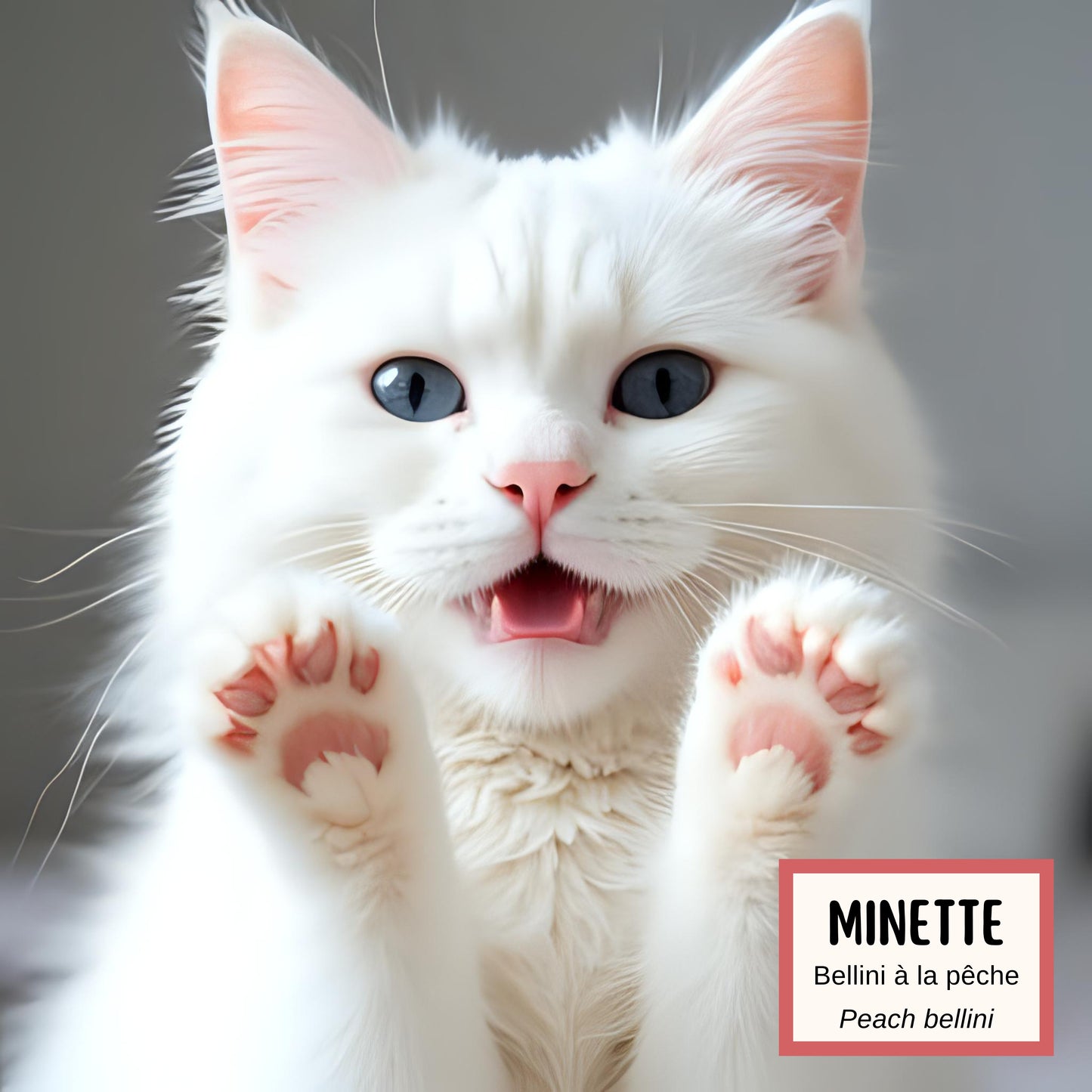 Savon MINETTE