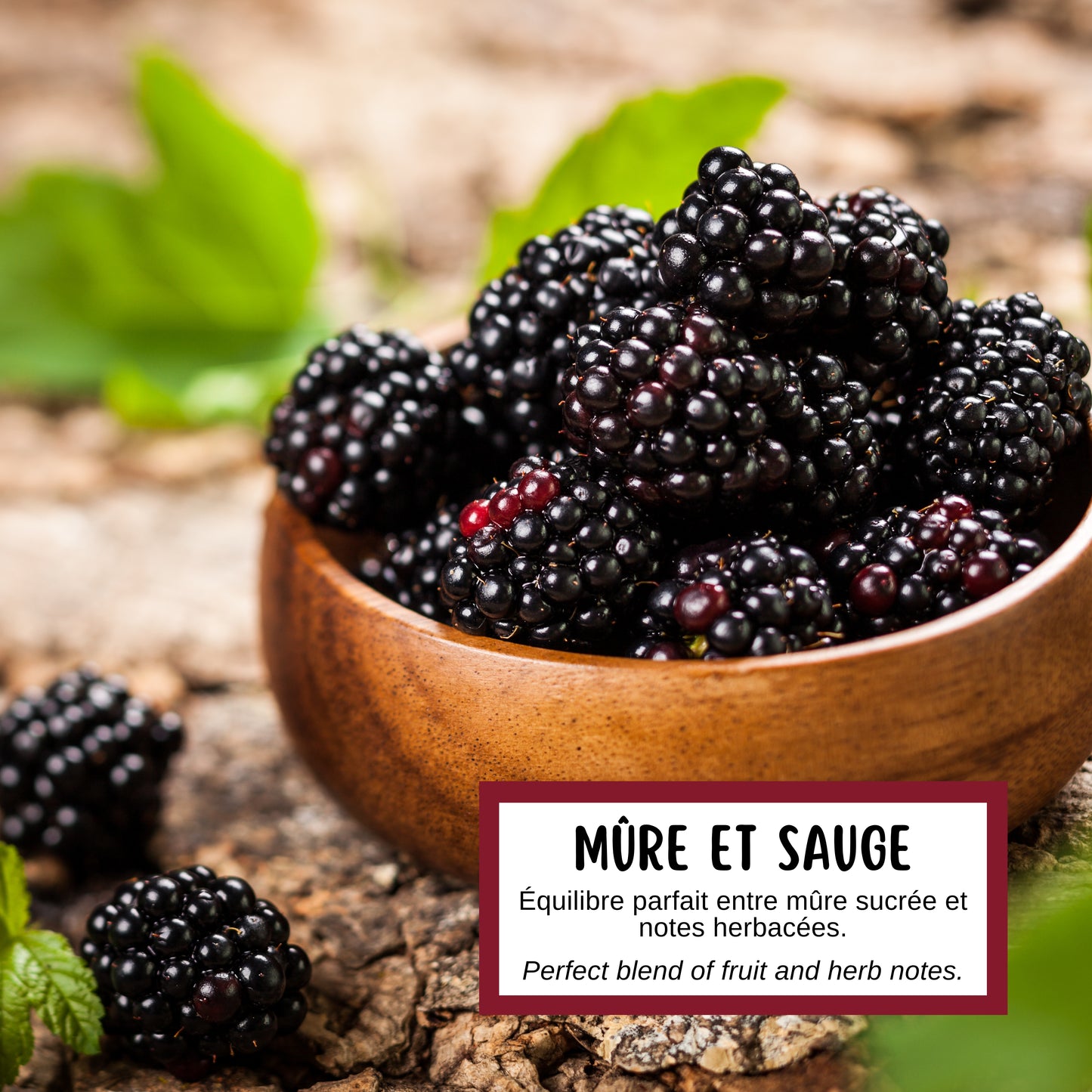 Savon MÛRE ET SAUGE
