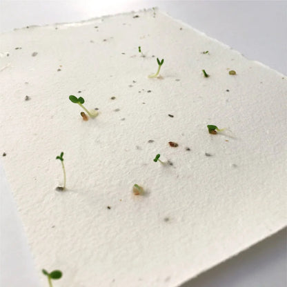 Certificat-cadeau imprimé sur du papier ensemencé