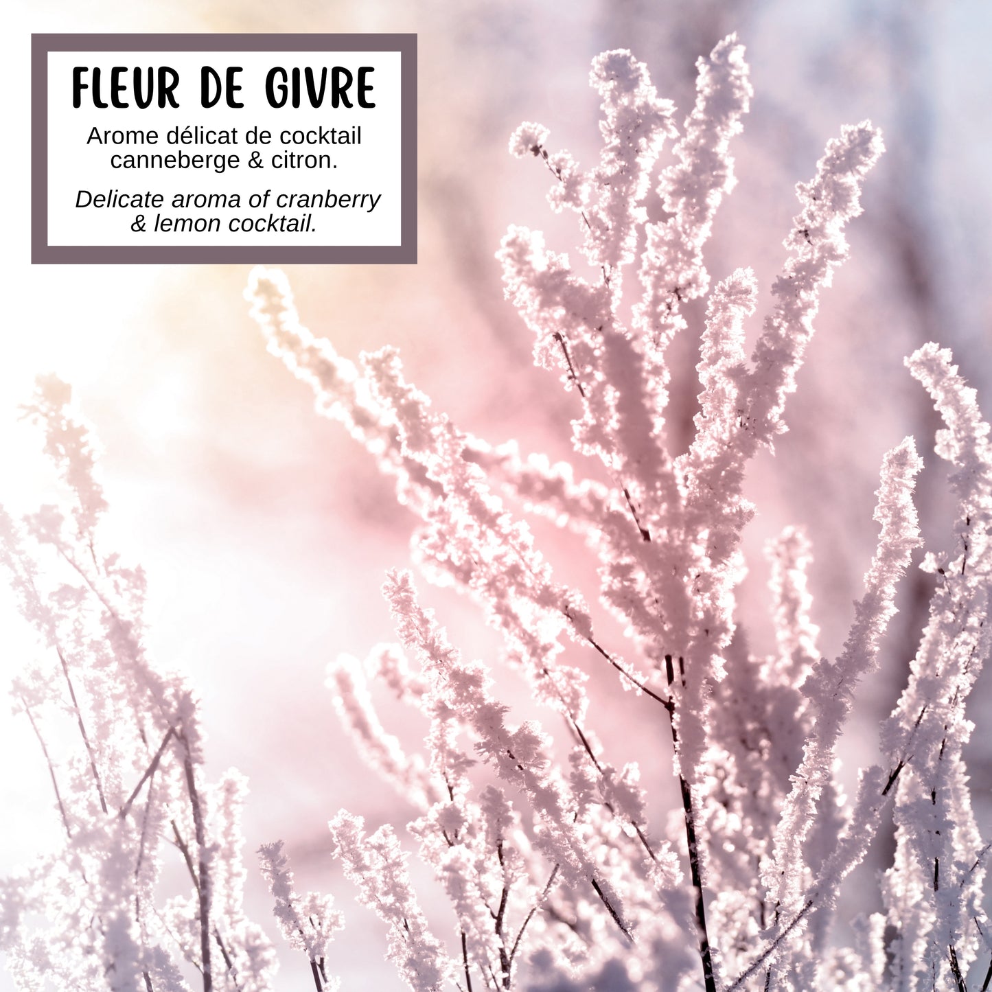 Savon FLEUR DE GIVRE