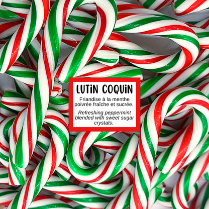 Savon LUTIN COQUIN