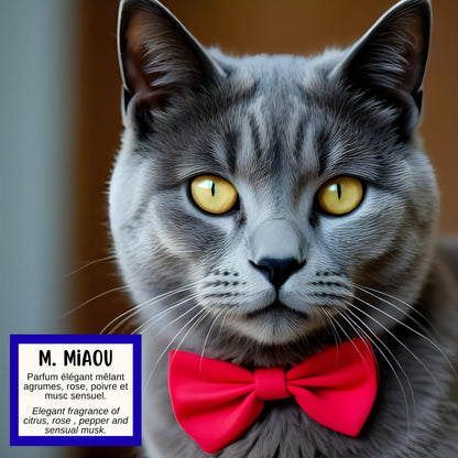 Savon M. MIAOU