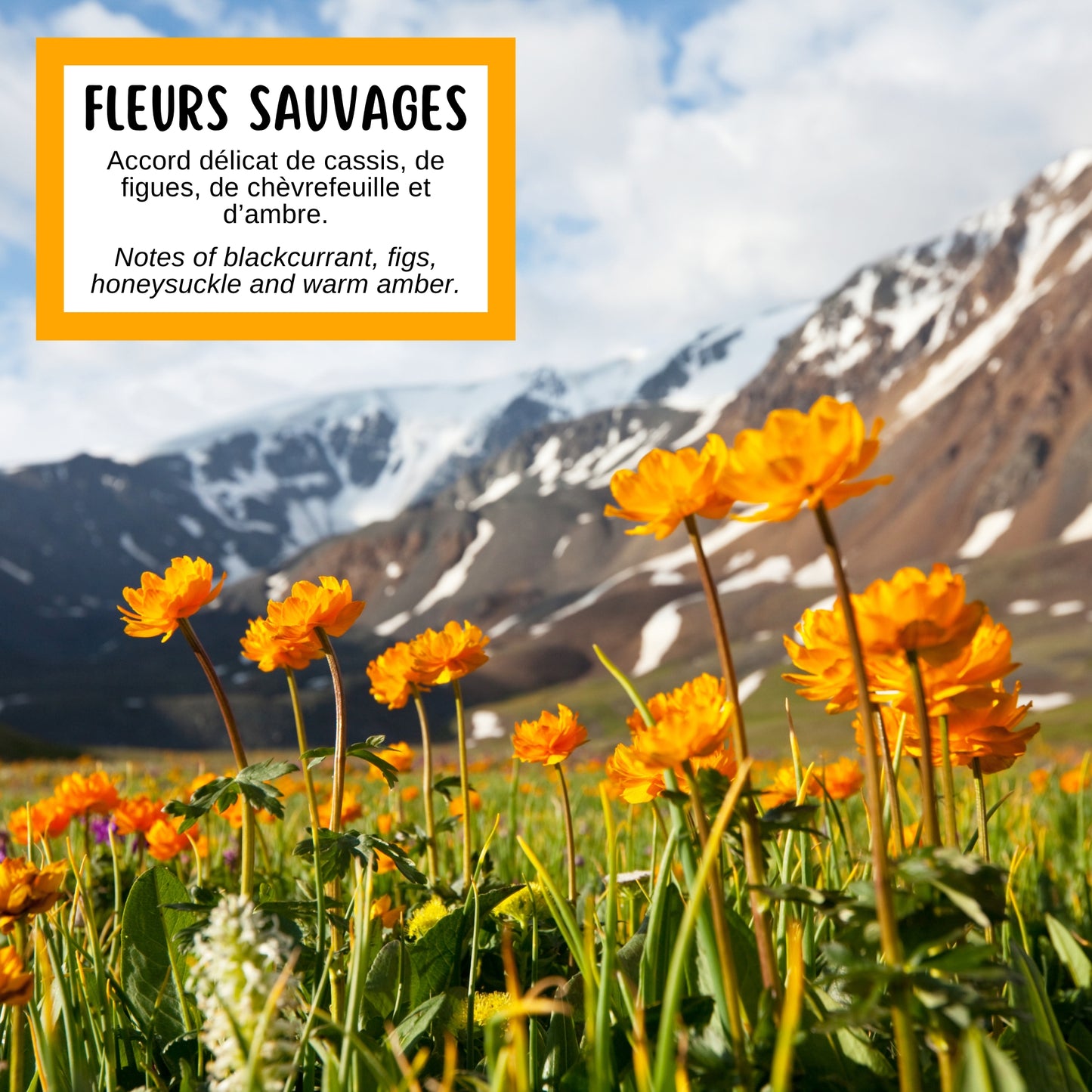 Savon FLEURS SAUVAGES