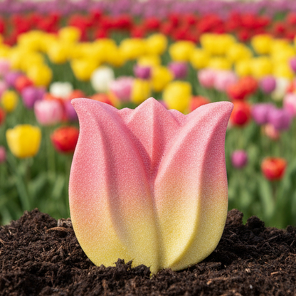 Bombe de bain TULIPE (jaune & corail)