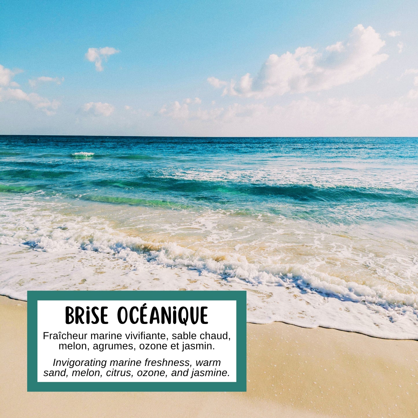 La fragrance du savon brise océanique rappelle la fraîcheur marine vivifiante, le sable chaud, le melon, les agrumes, l'ozone et le jasmin.