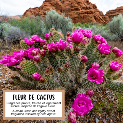 Description de la fragrance du savon fleur de cactus Effet Lotus, aux notes fraîches et légèrement sucrées inspirées de l'agave bleue. 