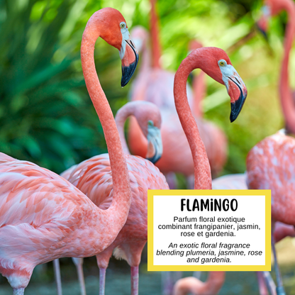 Description de la fragrance du savon flamant rose d'Effet Lotus qui est un mélange de fleurs tropicales comme plumeria, gardenia, jasmin et rose.