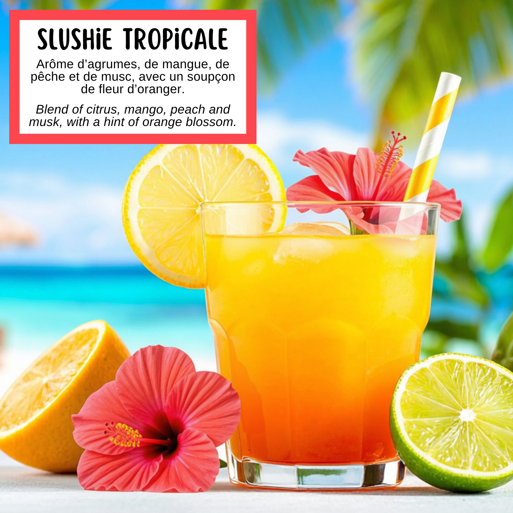 Description de l'odeur du savon slushie tropicale, qui est à base de satsuma, un mélange d'agrumes, de mangue, de pêche 