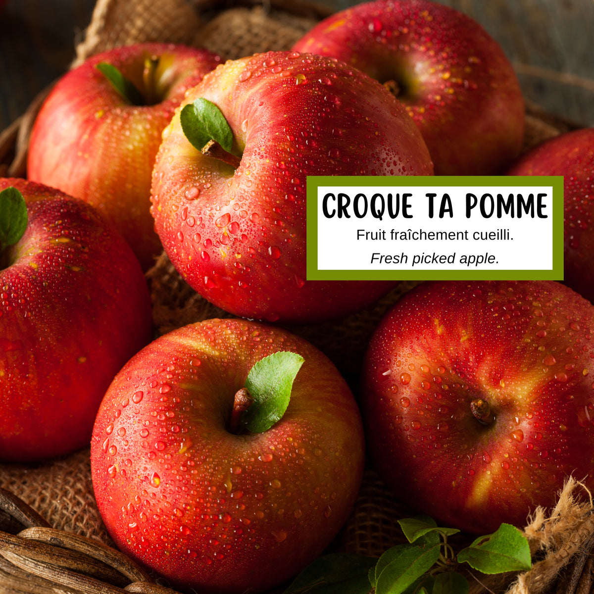 Description de la fragrance du savon naturel à la pomme enrichi de soie, d'argile et de lait de coco